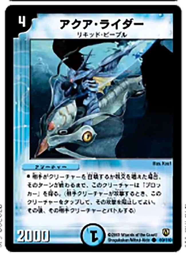 Aqua Rider