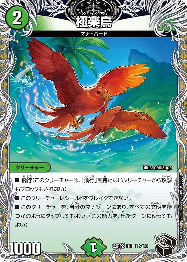 Birds of Paradise