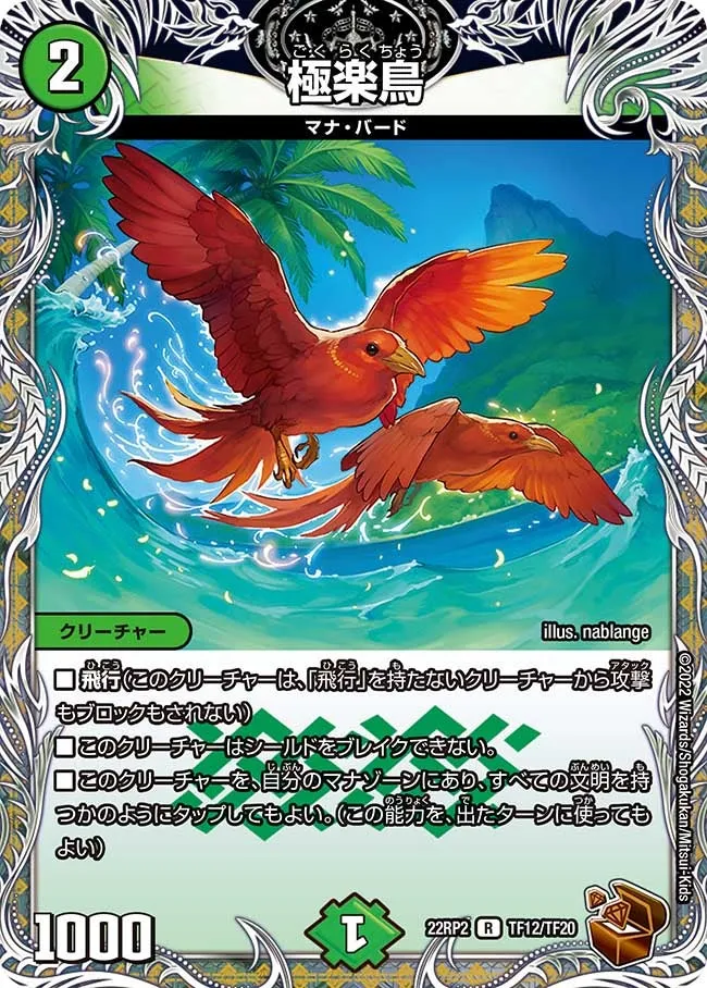 Birds of Paradise