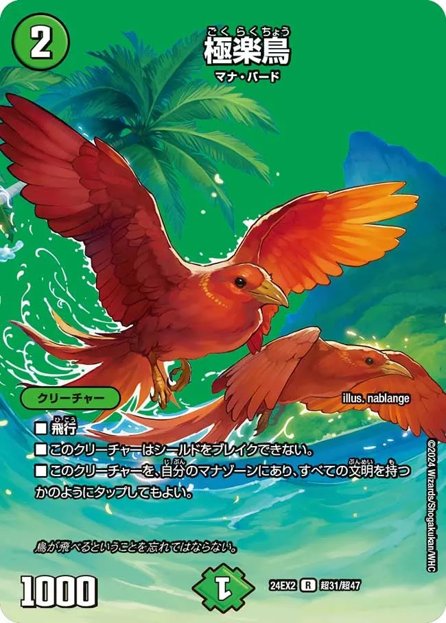 Birds of Paradise