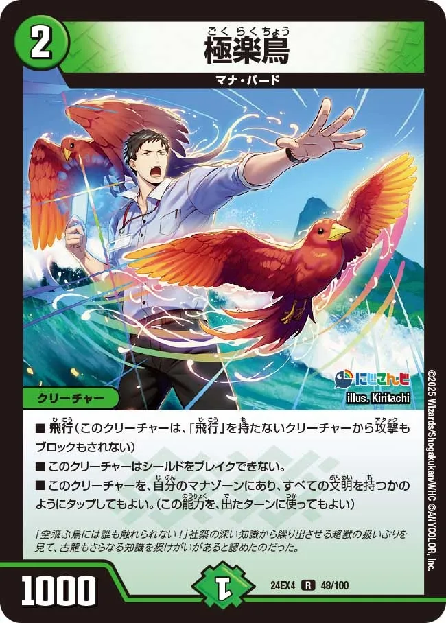 Birds of Paradise