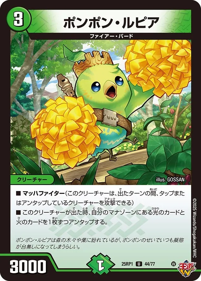 Pompom Lupia