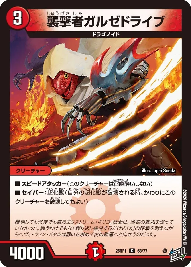 Raider Garzedrive