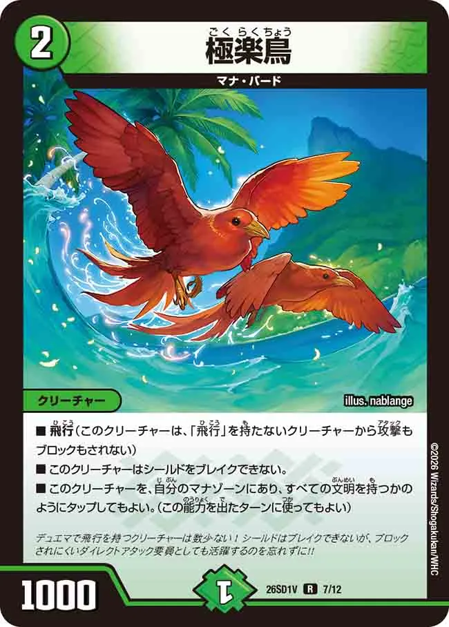 Birds of Paradise