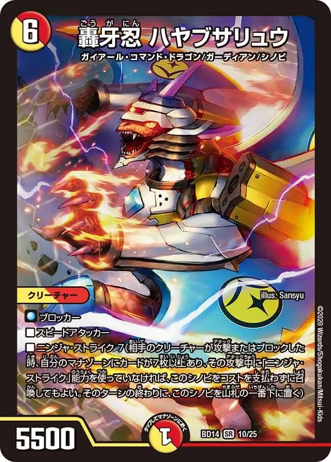 Hayabusaryu, Dragon Ninja
