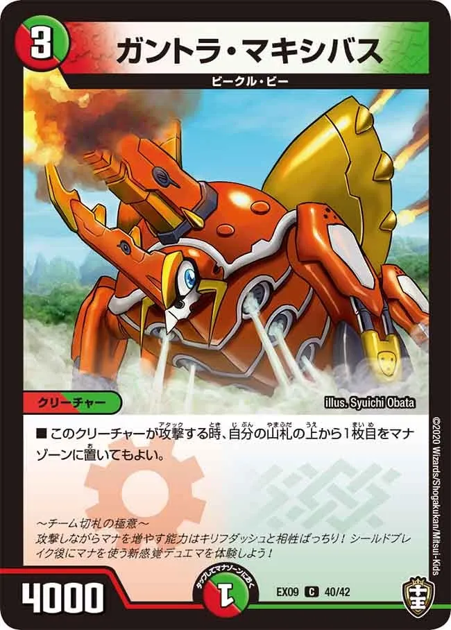 Gantora Maxivus