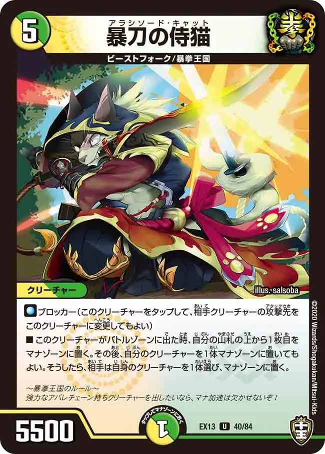 Arashisword Cat