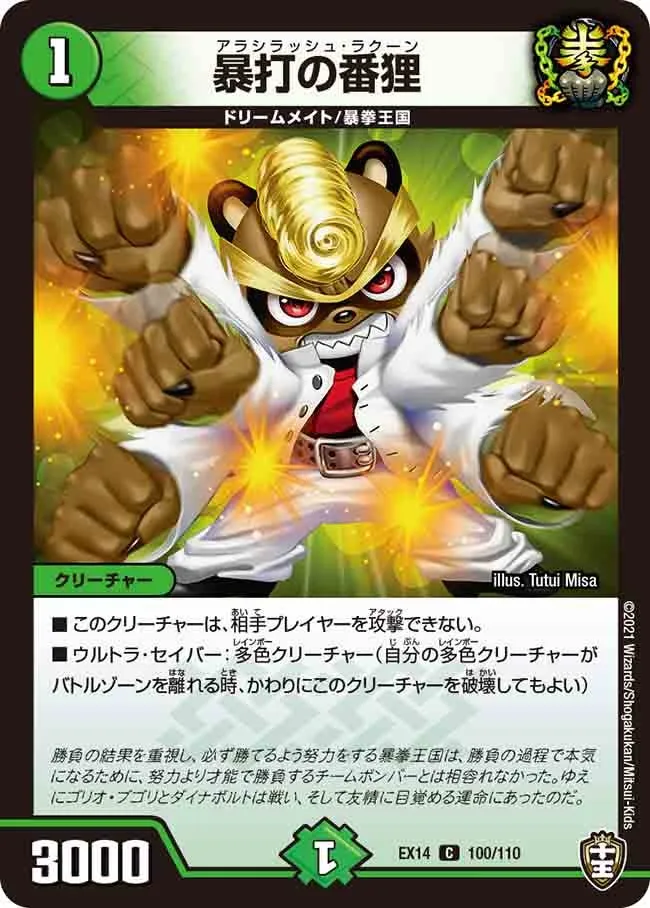 Arashirush Raccoon