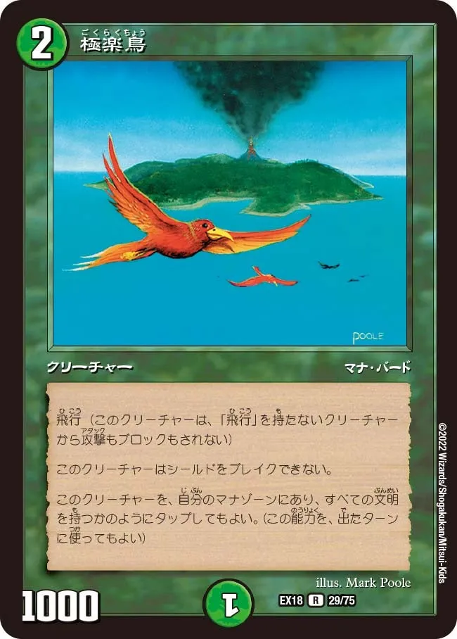 Birds of Paradise