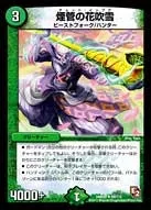 Chotto Ippuku