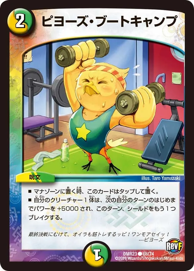 Piyozu Bootcamp