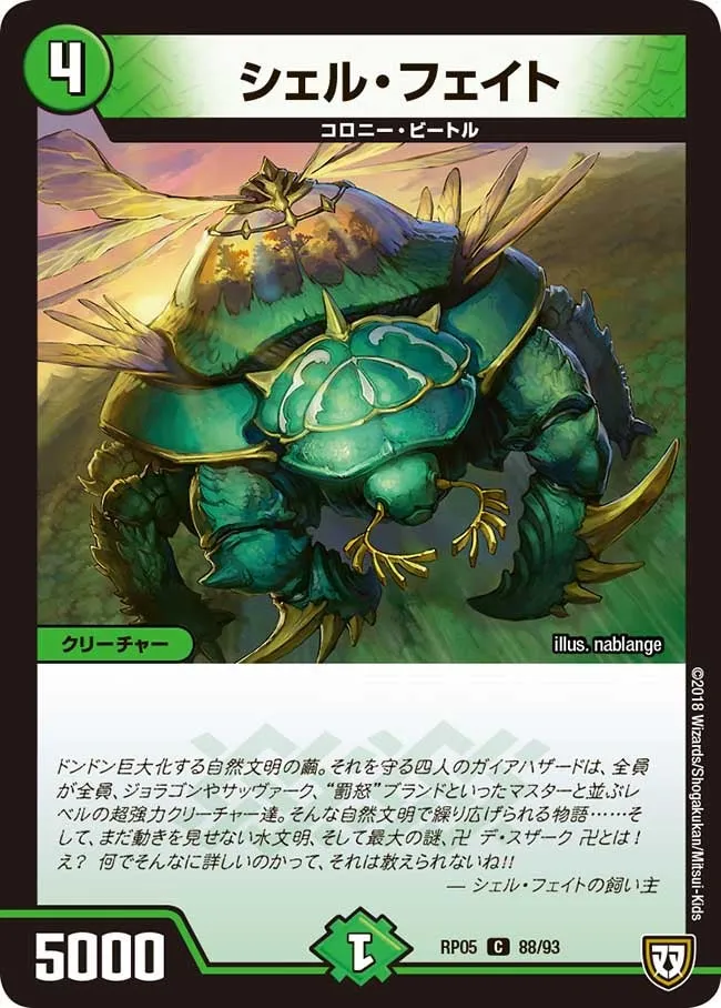 Shell Fate