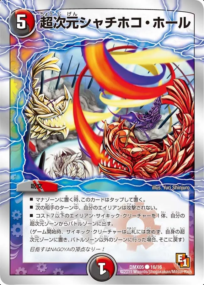 Hyperspatial Shachihoko Hole