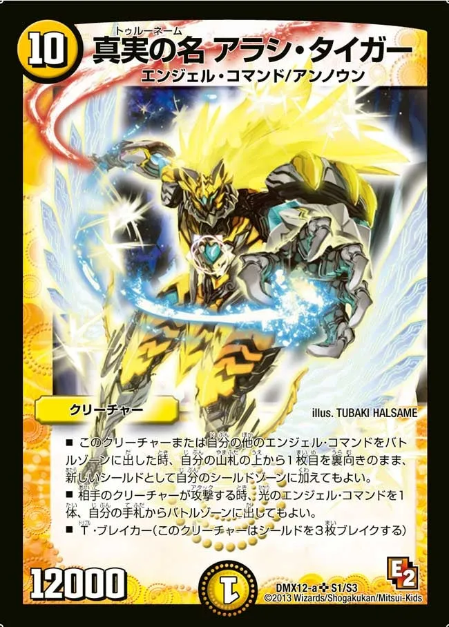 Truename Arashi Tiger