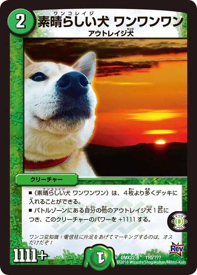 Wanwanwan, Wankorage