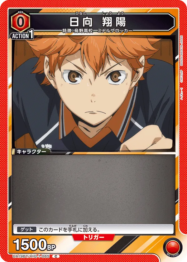 Shoyo Hinata