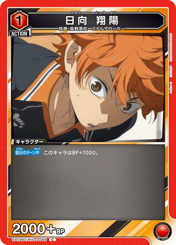 Shoyo Hinata