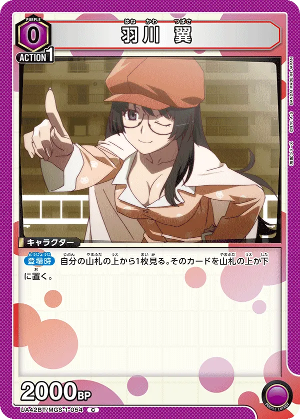 Tsubasa Hanekawa