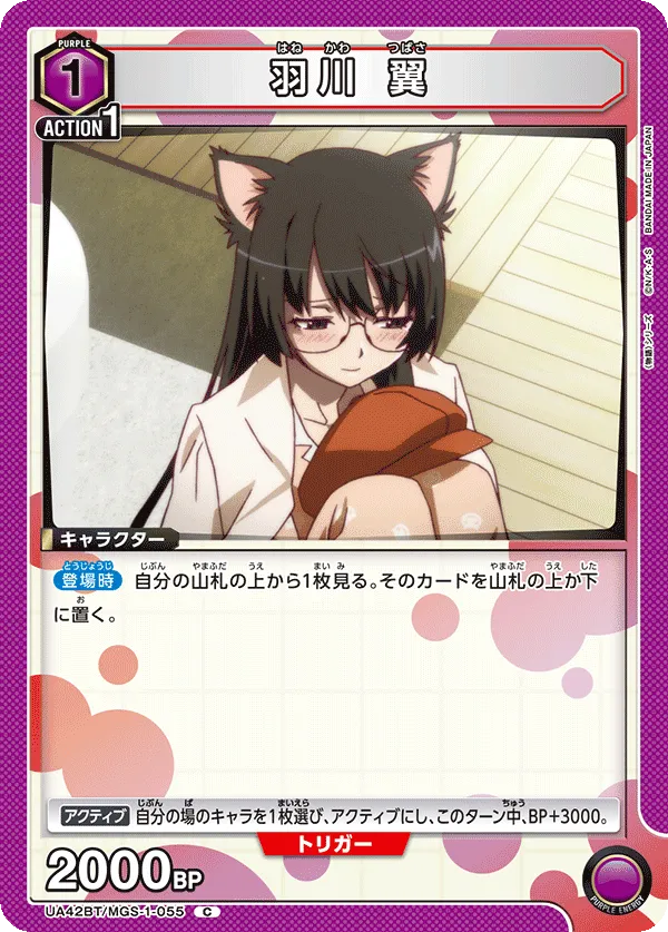 Tsubasa Hanekawa