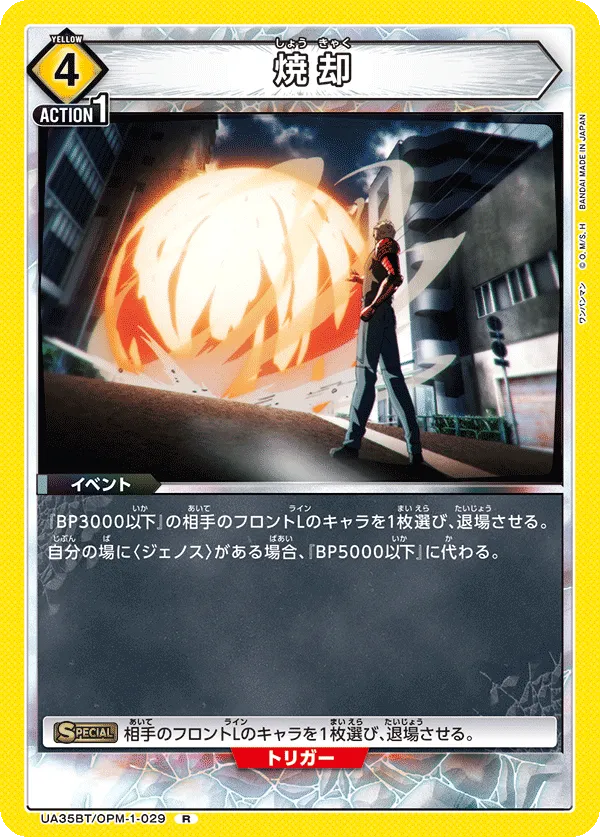 Incineration