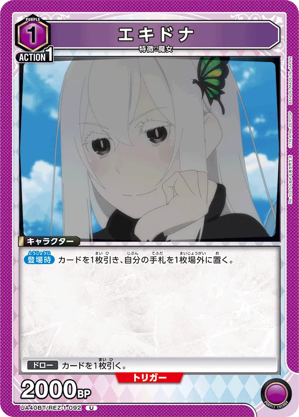 Echidna