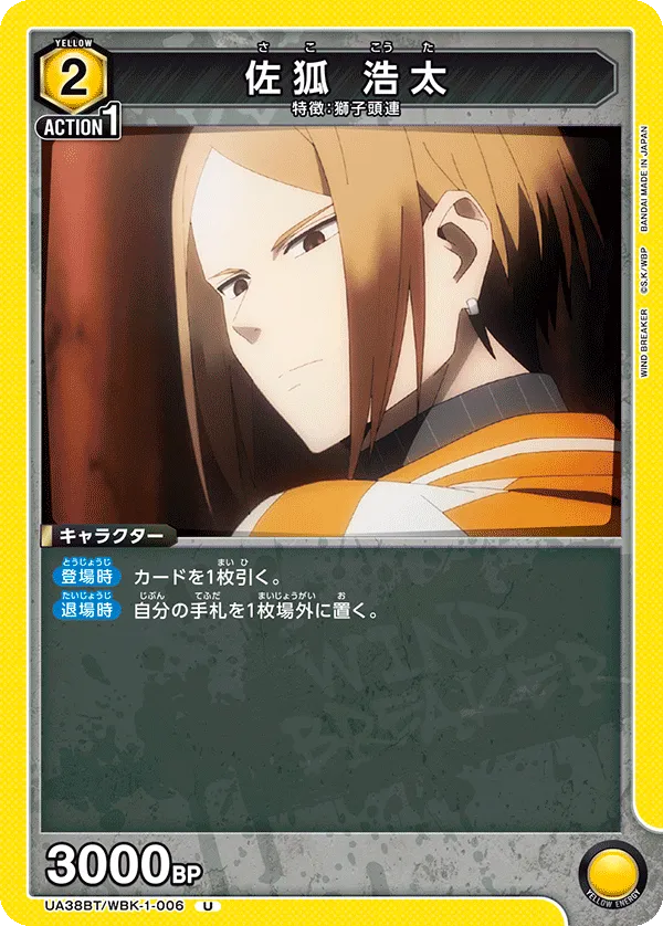 Kota Sako