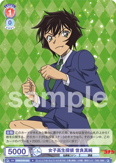 High school girl detective Masumi Sera