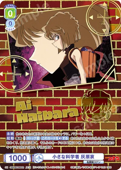 Little Scientist Ai Haibara
