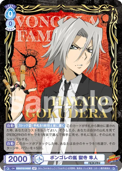 Vongola Storm Hayato Gokudera