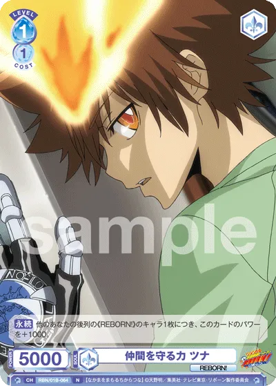 The power to protect your friends Tsuna
