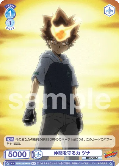The power to protect your friends Tsuna (BR) — alternate art