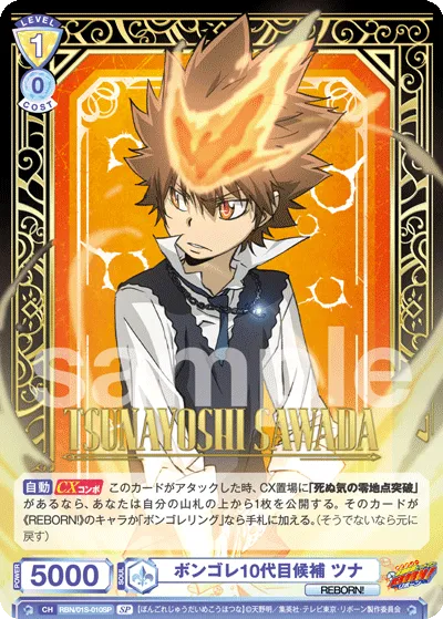 Vongola 10th generation candidate Tsuna