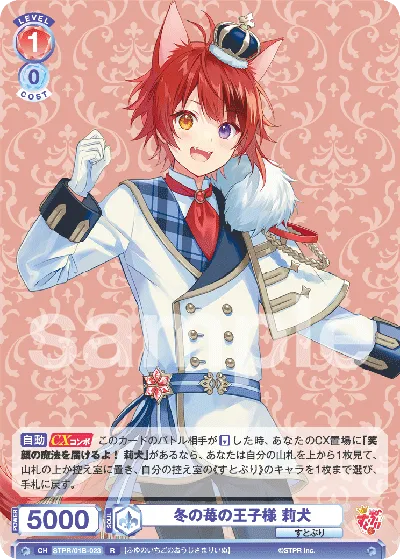 Winter Strawberry Prince Rinu