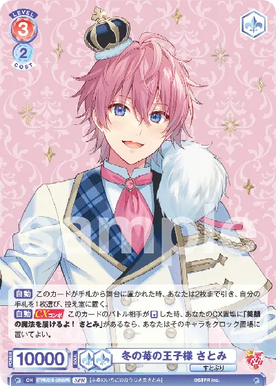 Winter Strawberry Prince Satomi