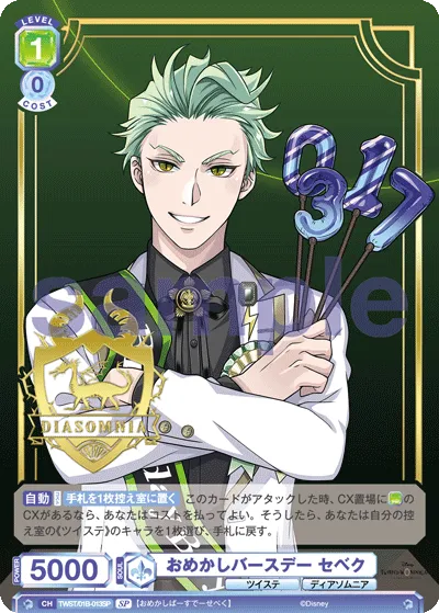 Dress up birthday sebek
